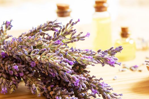 Lavender essential oil in a small bottle. Selective focus. nature.