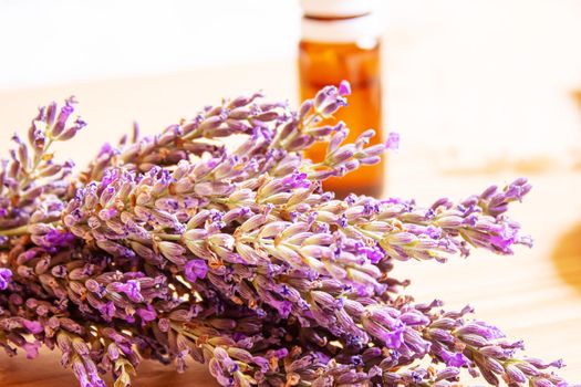 Lavender essential oil in a small bottle. Selective focus. nature.