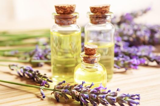 Lavender essential oil in a small bottle. Selective focus. nature.