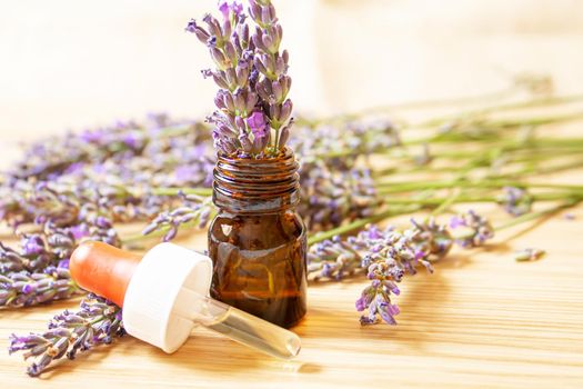 Lavender essential oil in a small bottle. Selective focus. nature.