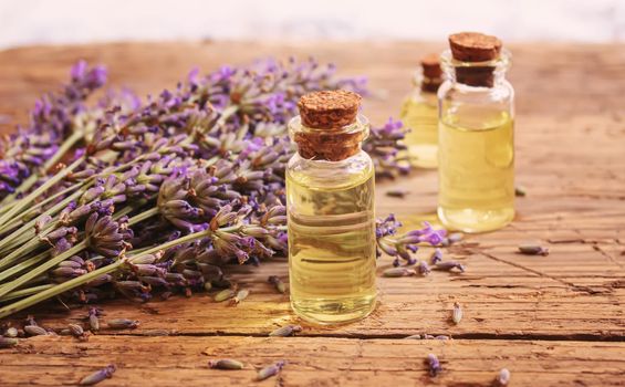 Lavender essential oil in a small bottle. Selective focus. nature.