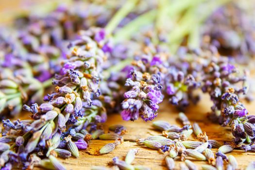 Lavender essential oil in a small bottle. Selective focus.