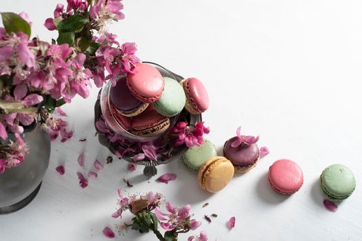 spring still life with colored macaroons and pink apple tree flowers in a pewter vase, colorful sweet food close up. High quality photo