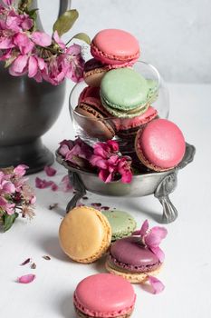 spring still life with colored macaroons and pink apple tree flowers in a pewter vase, colorful sweet food close up. High quality photo