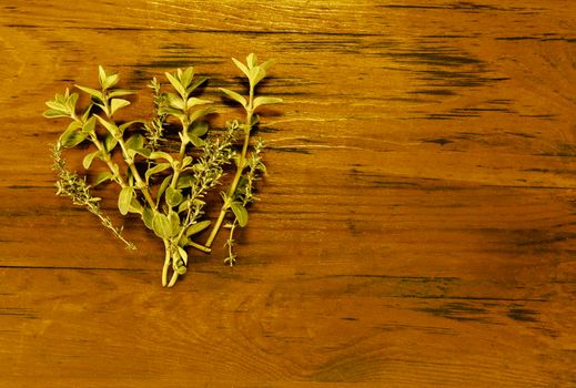 Bunch of fresh thymus and origanum on wooden  red background, culinary herbs