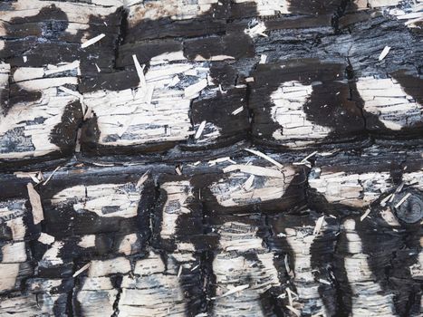 Burned wooden planks. Texture of white colored board after fire. Flame damaged wooden background.