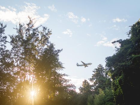 SOCHI, RUSSIA - September 24, 2021. Airplane fies over high trees in park. Aircraft on blue sky background at sunset.