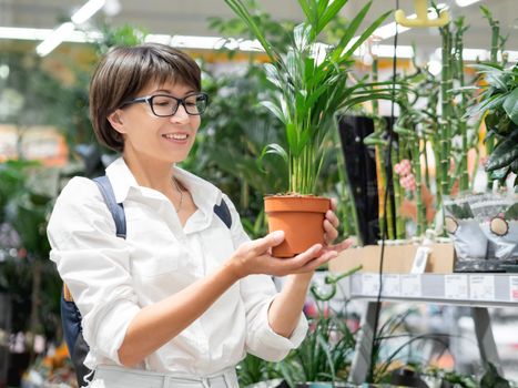 Woman chooses plants for home. Shelves with seedlings, flowering plants and seeds in flower shop. Indoor agronomic market.