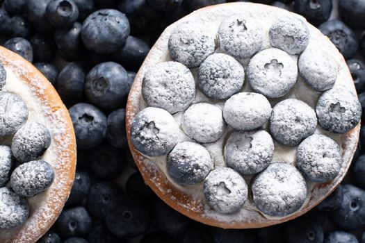 sweet dessert cake with pudding cream and blueberries sprinkled with powdered sugar, on a background of scattered blueberries, close up natural background. High quality photo