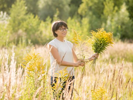 Woman is picking Solidago, commonly called goldenrods, on autumn field. Florist at work. Using yellow flowers as decorative bouquet for home interior.