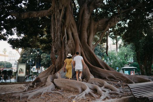 A young woman wears a hat and a yellow dress with her boyfriend go to an old Valencian Ficus Macrophylla tree in Spain. A couple of tourists are exploring Valencia in the evening.