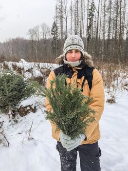 Smiling man with bouquet of European silver fir branches. Man walks through forest in search of fallen branches to decorate home for Christmas or New Year.