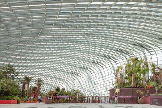 SINGAPORE, SINGAPORE - January 17, 2013. Collection of different plants and trees under glass dome in famous complex of greenhouses Gardens by the Bay.