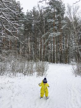 Little boy in bright yellow jumpsuit walks in forest. Outdoor leisure activity for children in winter season. Healthy lifestyle and exploration of nature.