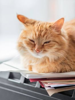 Cute ginger cat sleeps on computer tower. Fluffy pet relaxes on pile of colored paper on system unit. Domestic animal has a rest on hard drive.