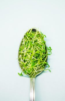 microgreen sprouts watercress lettuce on a white plate in a spoon. Selective focus.food