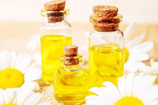 Chamomile essential oil in a small bottle. Selective focus.