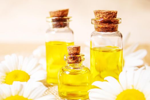 Chamomile essential oil in a small bottle. Selective focus.