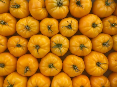 red and yellow tomatoes in boxes at the farmers market.selective focus.nature