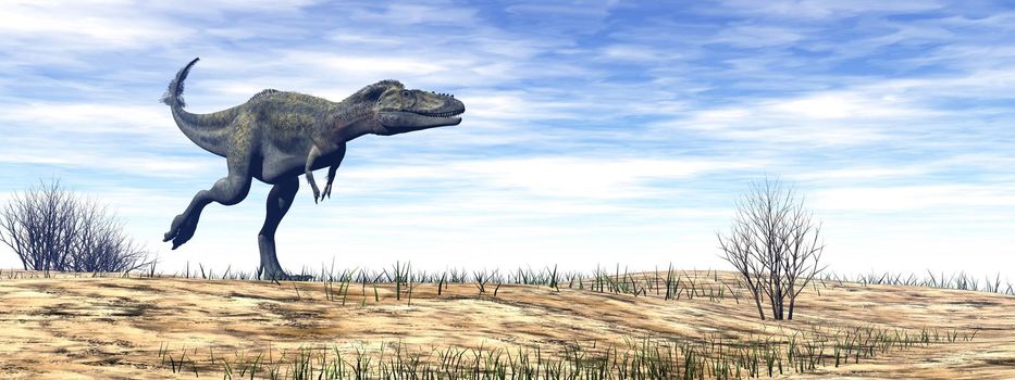 Alioramus dinosaur walking in the desert by day - 3D render