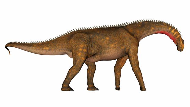 Mierasaurus dinosaur walking peacefully isolated in white background - 3D render