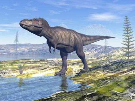 Tyrannosaurus rex t-rex dinosaur walking in the desert next to water by day - 3D render