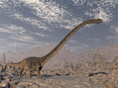 Omeisaurus dinosaur walking in the desert by day - 3D render