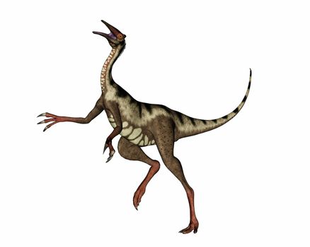 Pelecanimimus dinosaur walking and roaring isolated in white background - 3D render