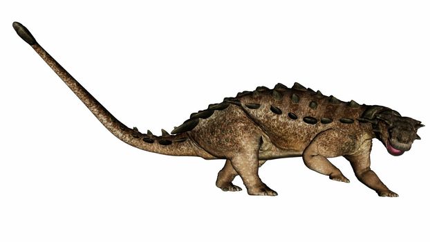 Pinacosaurus dinosaur looking right isolated in white background - 3D render