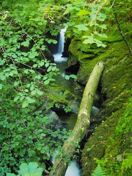 Dramatic river cascades over rocks and through green trees surrounded by moss covered boulders and ferns, Lydford Gorge, Dartmoor National Park, Devon, UK