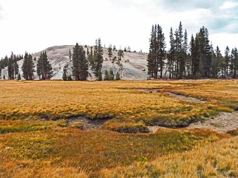 Nature landscape of Yosemity Park in the United States, travel reportage