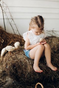 Selective focus of lovely girl with big beautiful eyes looking at camera while keeping little chick in hands. Cute child smiling and posing while resting in village. Concept of childhood and animals.