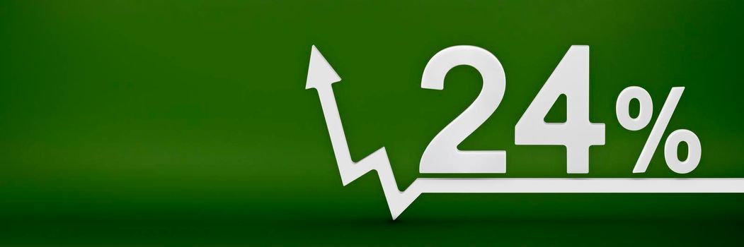 24 percent. The arrow on the graph points up. Rising prices, inflation, increase in income, increase in interest rates, taxes. 3d banner, twenty four percent sign discount on a green background