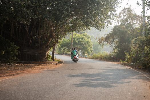 Rear View Of People Riding Motorcycles Amidst Trees On Road, Goa, India