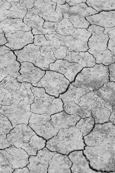 close-up of dry dracked soil ground texture (grayscale)