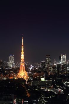 top view of Tokyo cityscape at night, Japan