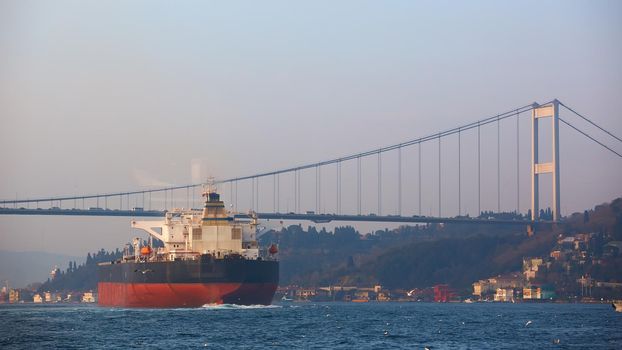 A cargo ship in the Bosphorus, Istanbul, Turkey