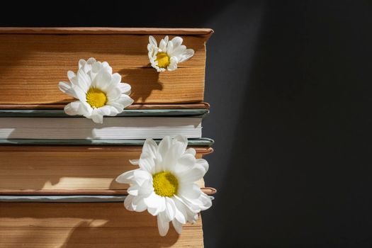 creative composition with books flower