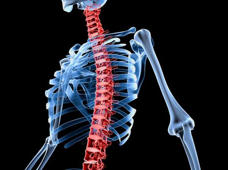 3d rendered medically accurate illustration of a skeleton with painful back spine.