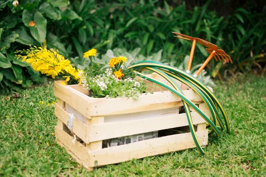 flowers garden equipment wooden container meadow near plants