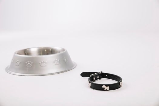 collar near pet bowl