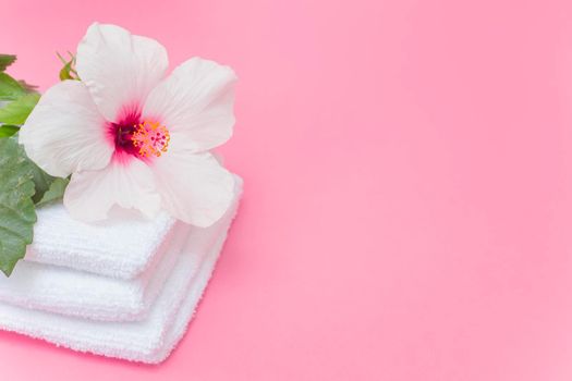 close up white hibiscus flower towels pink backdrop