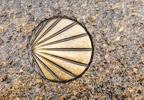 Santiago's shell on the pavement, symbol of Saint James way
