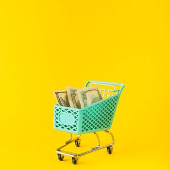 grocery cart with money