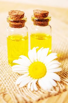 Chamomile essential oil in a small bottle. Selective focus.