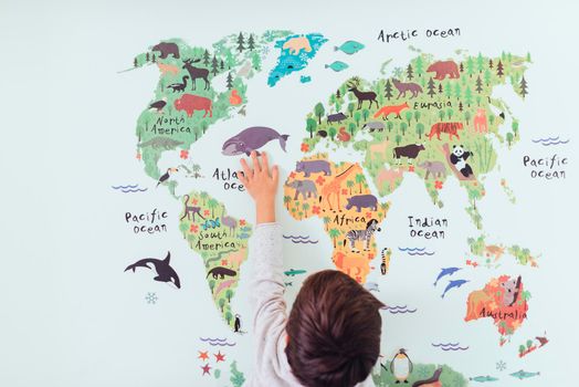 kid looking world map