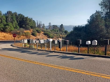 American road with numerous mailboxes placed one after the other and with the shadow reflected in the asphalt of the city road