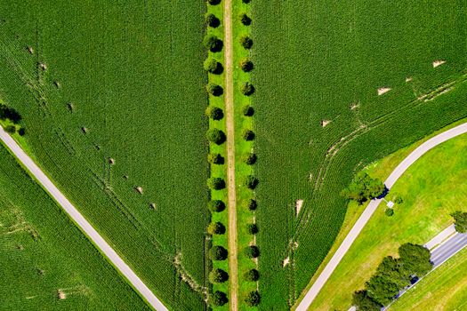 Aerial view of a beautiful road with trees and green field. Landscape in the countryside. Shot from a drone. Nature and agriculture concepts.