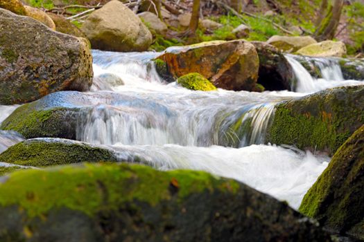 A small picturesque river flows through stones with moss in the forest