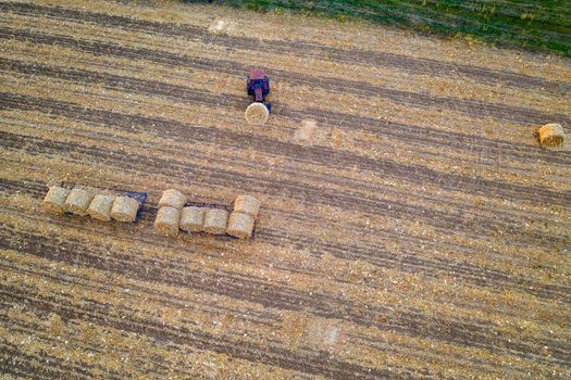 Aerial view from drone to the tractor collect bales of hay after harvesting on a wheat field.